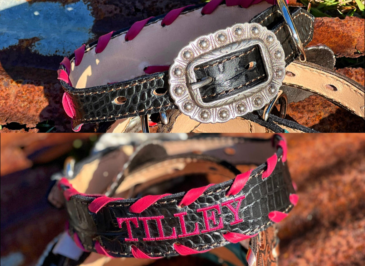 Full Circle Collar With Custom Name Patch