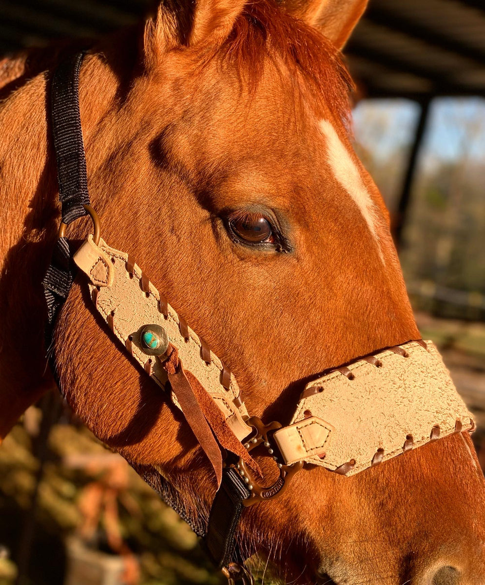 Custom Buckle Halter – Bar Circle L Leather & Bags