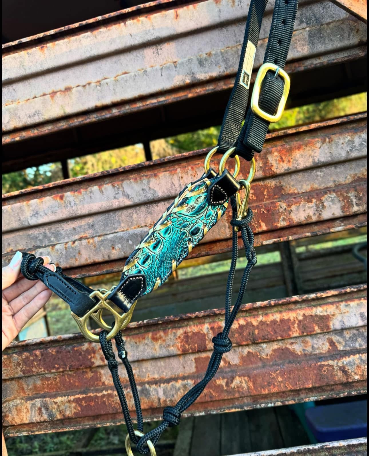 “Finish your own way” Halter (Turquoise Gator)