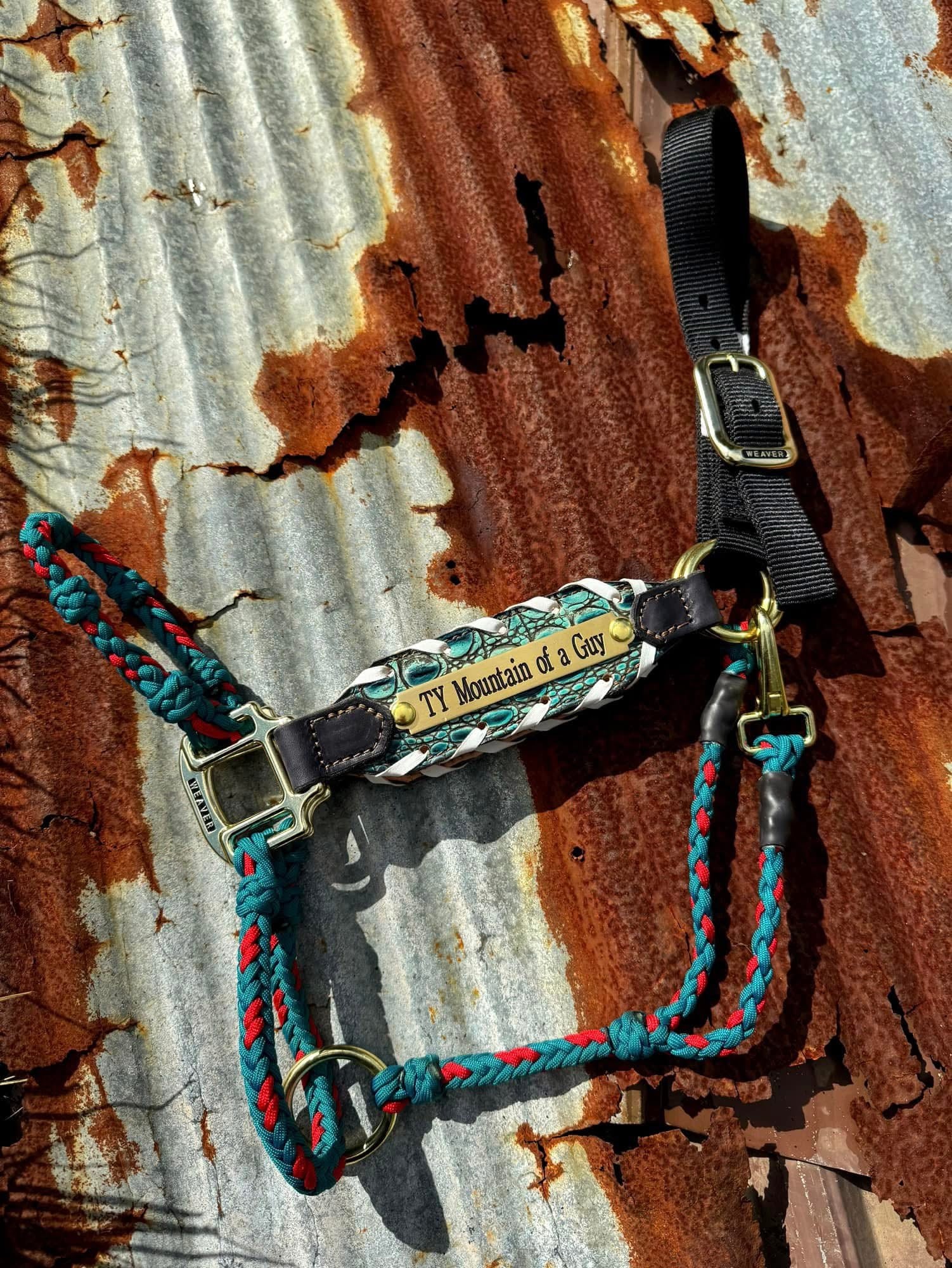 “Finish your own way” Halter (Turquoise Gator)