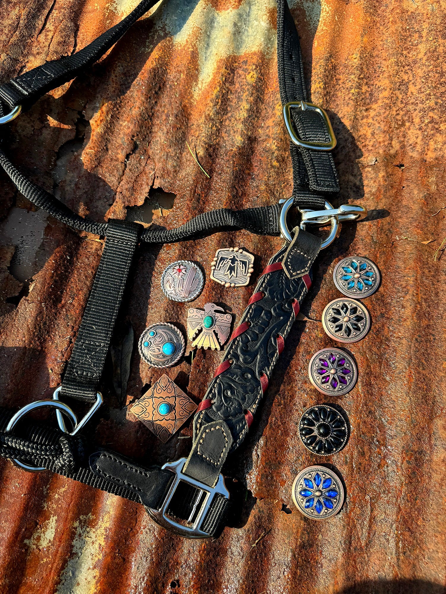 Black Tooled Hybrid Halter