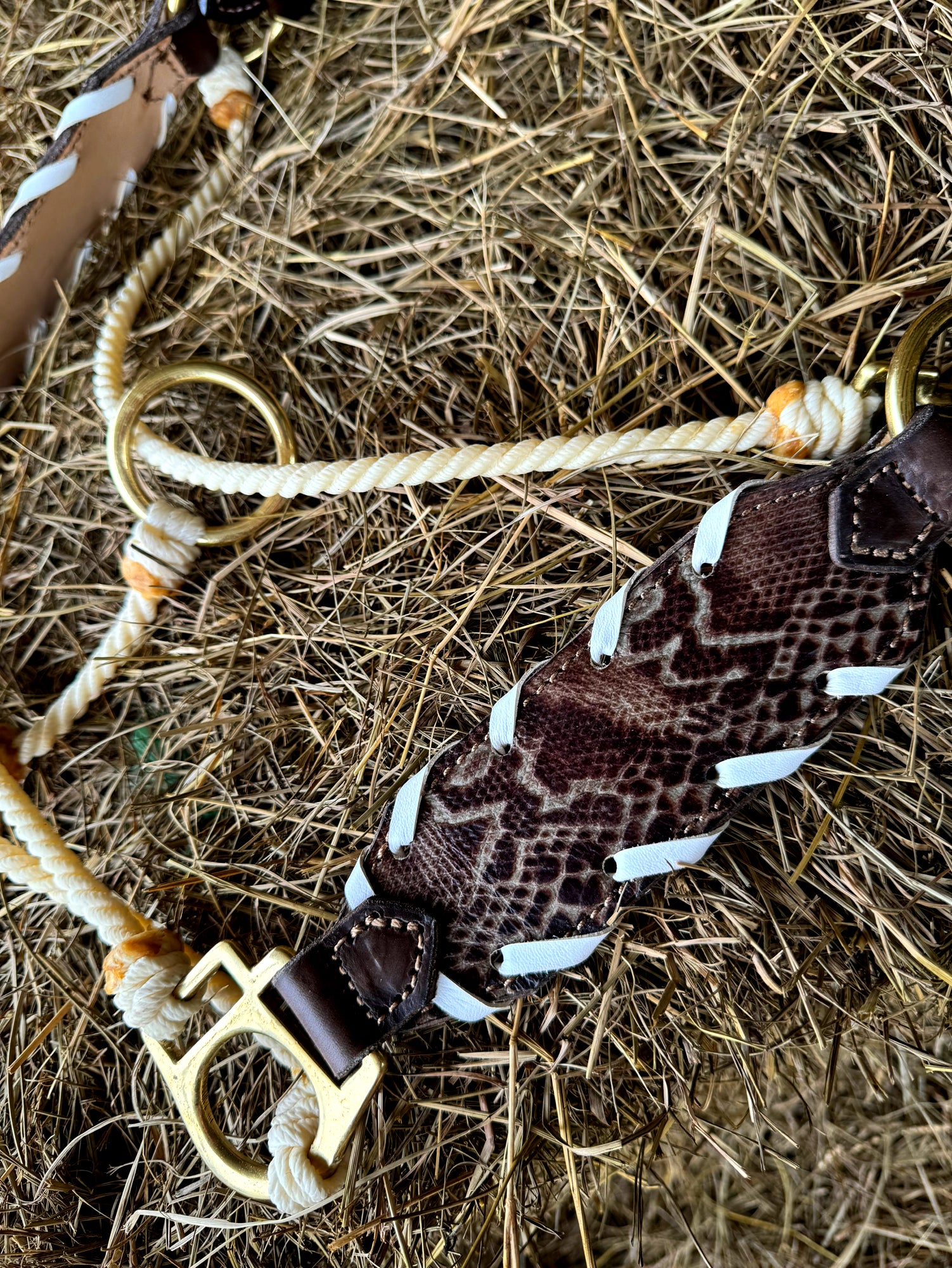 Brown Snakeskin Leather Hybrid Halter