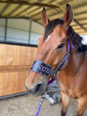 “Finish your own way” Halter (Black Gator)