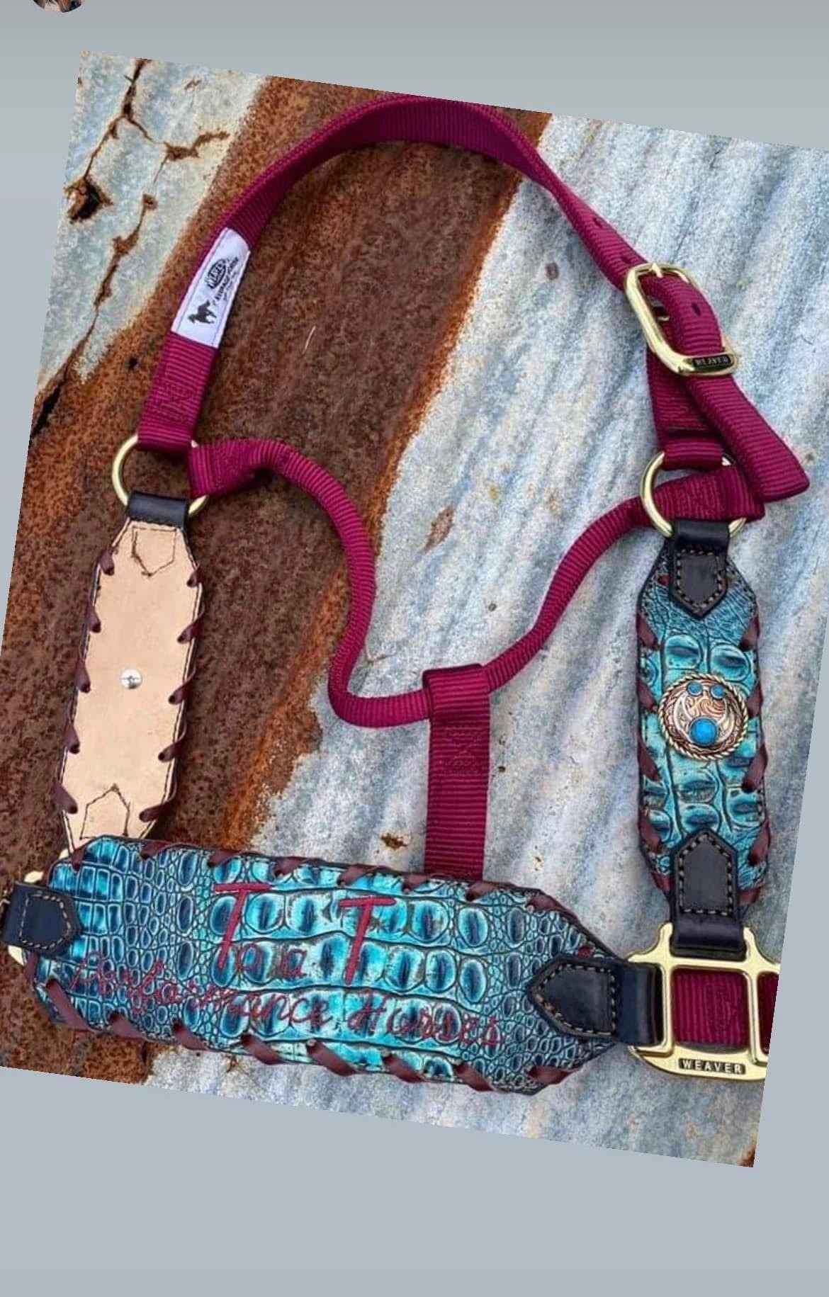 “Finish your own way” Halter (Turquoise Gator)