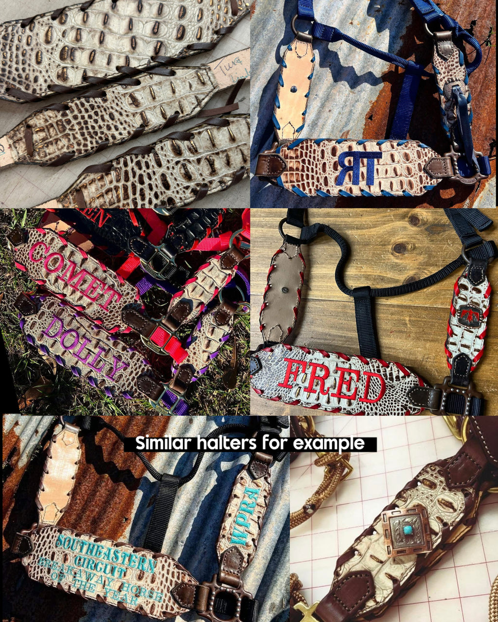 “Finish your own way” Halter (Ivory Gator 2)