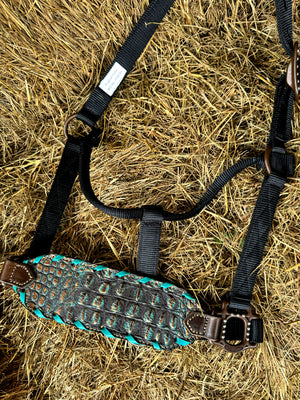 Lagoon Gator Buckle Halter