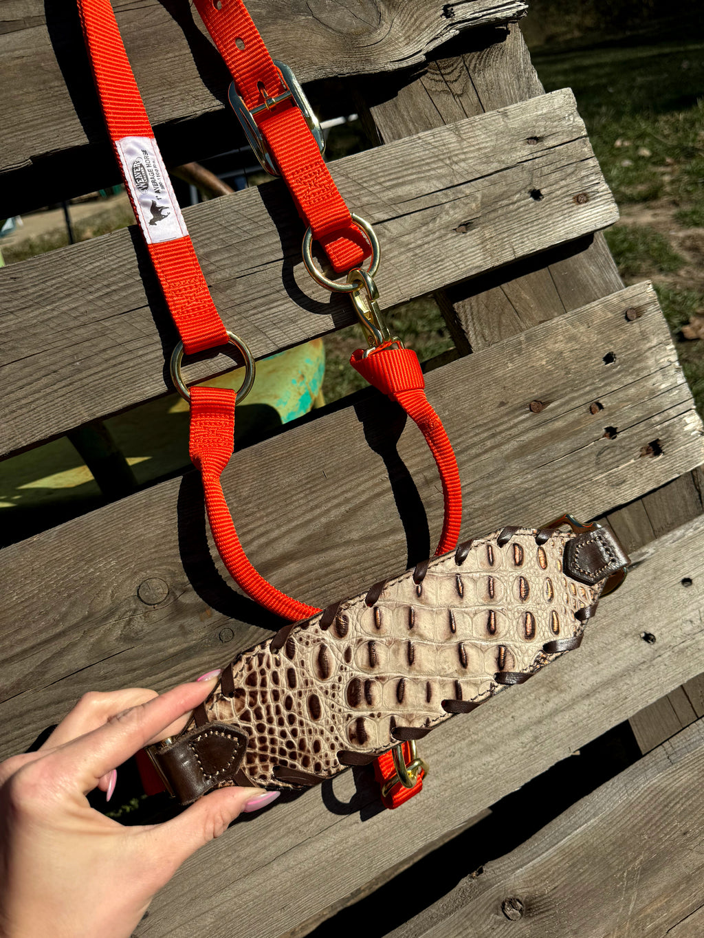 Copper & Ivory Gator Halter