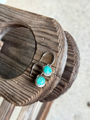 Quick Change Hoop Earrings with Swappable Stones (Small)