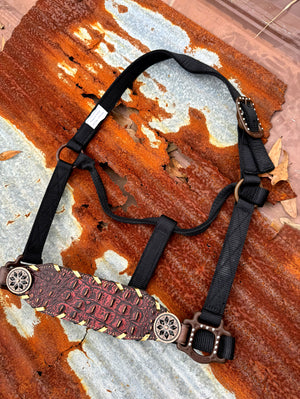 Red Gator Buckle Halter