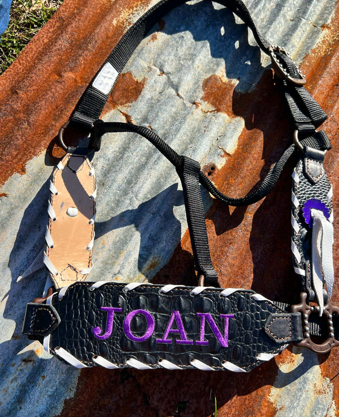 “Finish your own way” Halter (Black Gator)