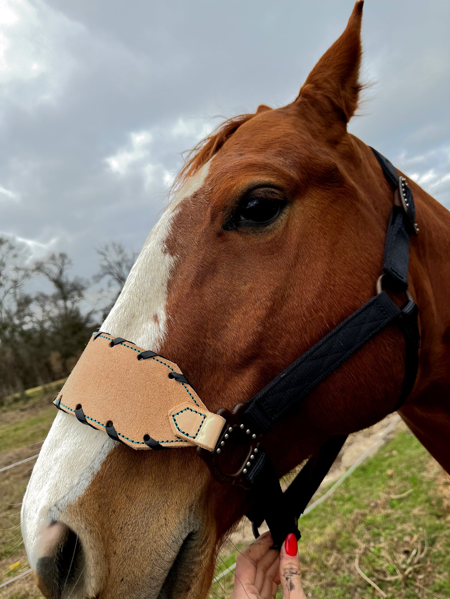 Natural Roughout Buckle Halter