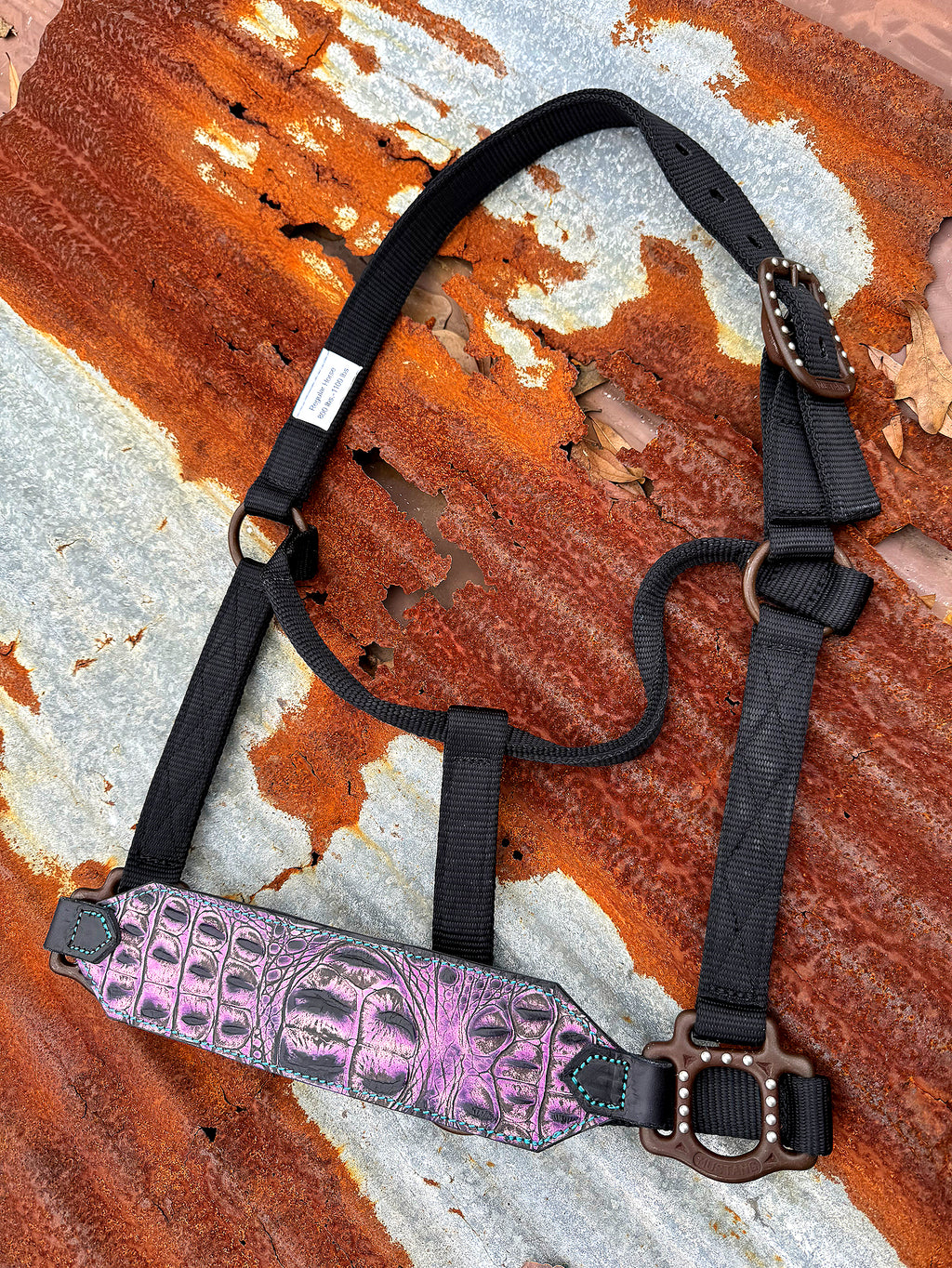 Purple Gator Buckle Halter