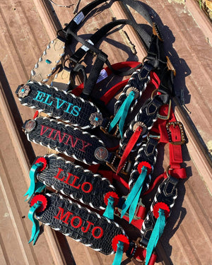 “Finish your own way” Halter (Black Gator)
