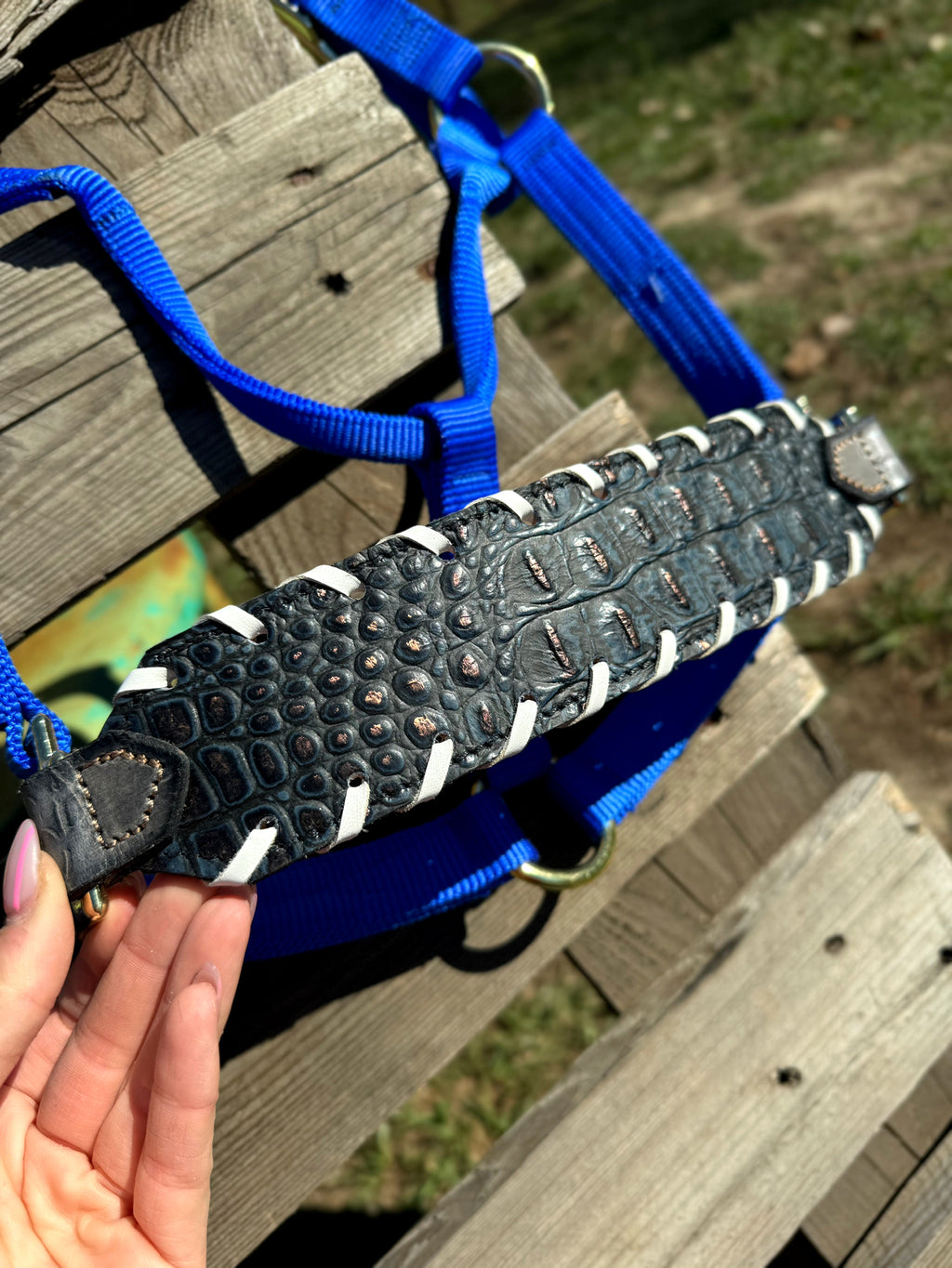 Blue Gator Halter
