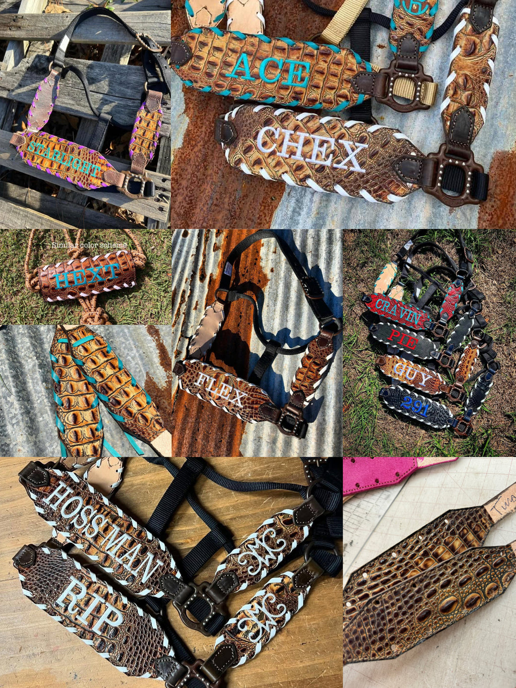 “Finish your own way” Halter (Savannah Gator)