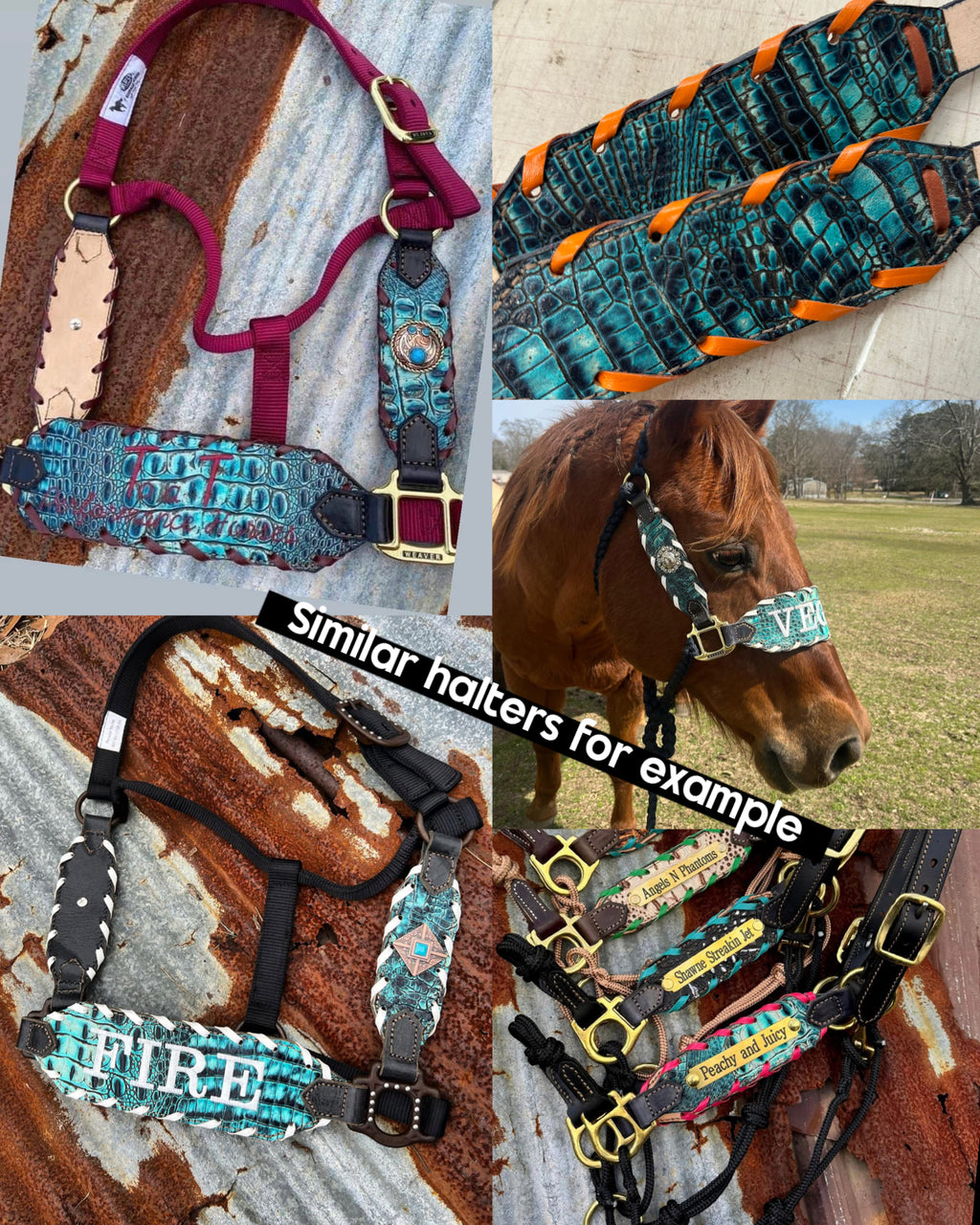 “Finish your own way” Halter (Turquoise Gator 2)
