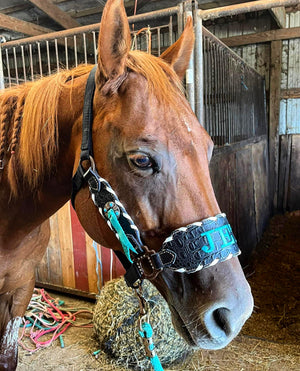 “Finish your own way” Halter (Black Gator)
