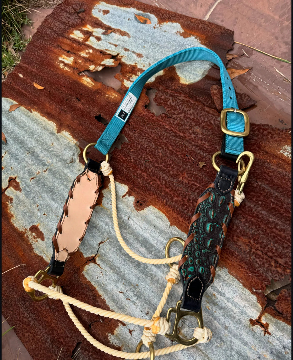 Lagoon Gator Hybrid Halter