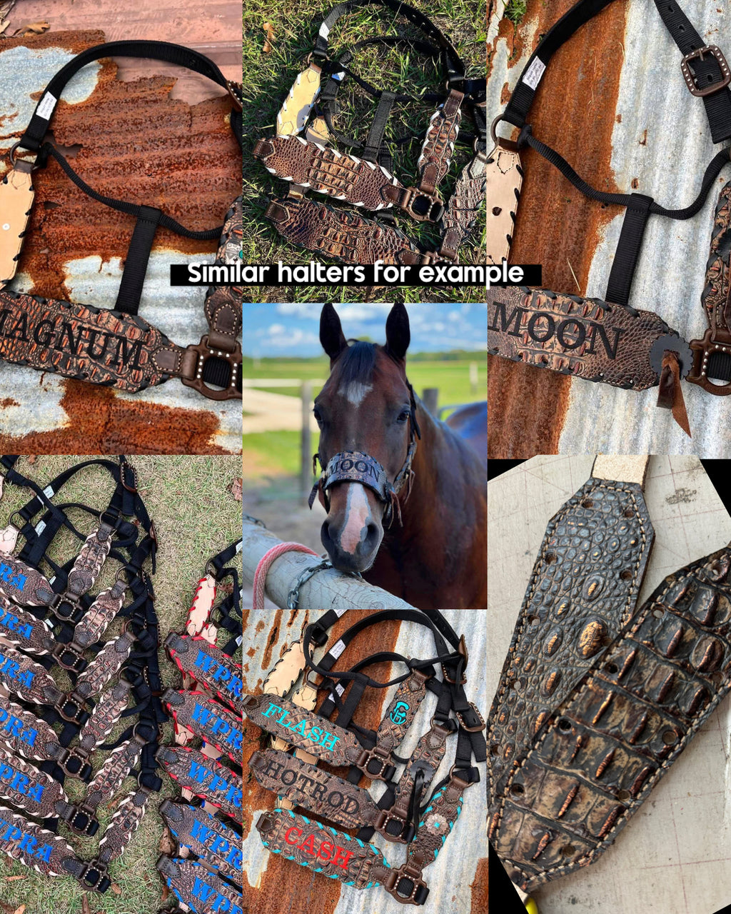 “Finish your own way” Halter (Brown Gator)