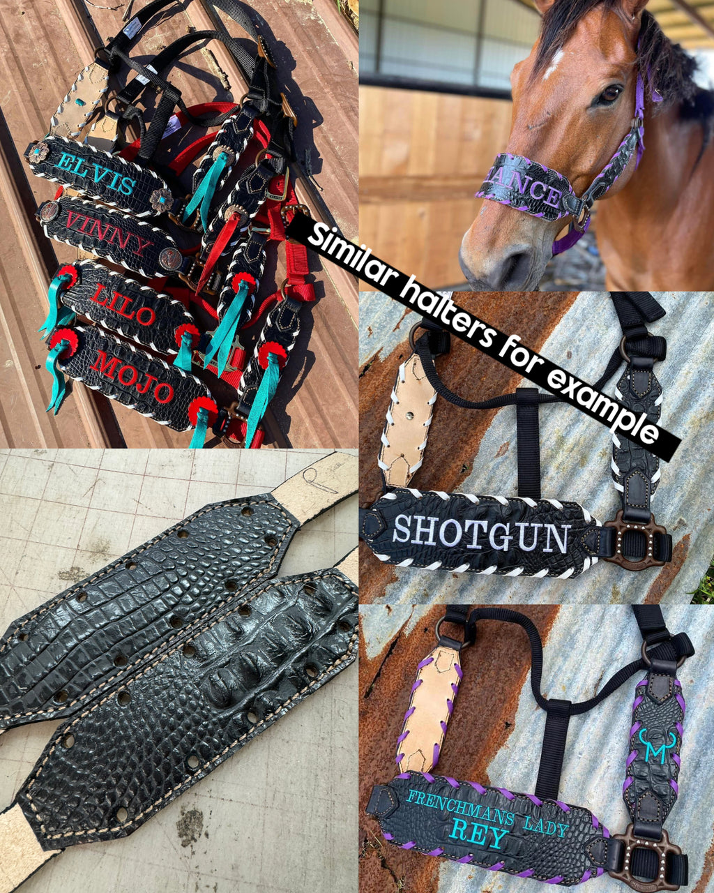 “Finish your own way” Halter (Black Gator)