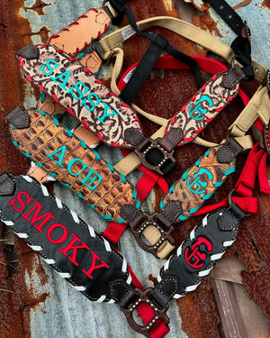 Buckle Halters with names