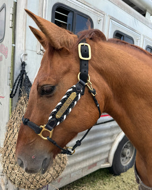 Add a Nameplate to my Halter