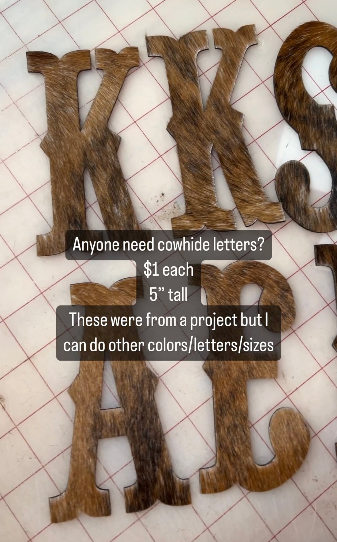 Cowhide Letters