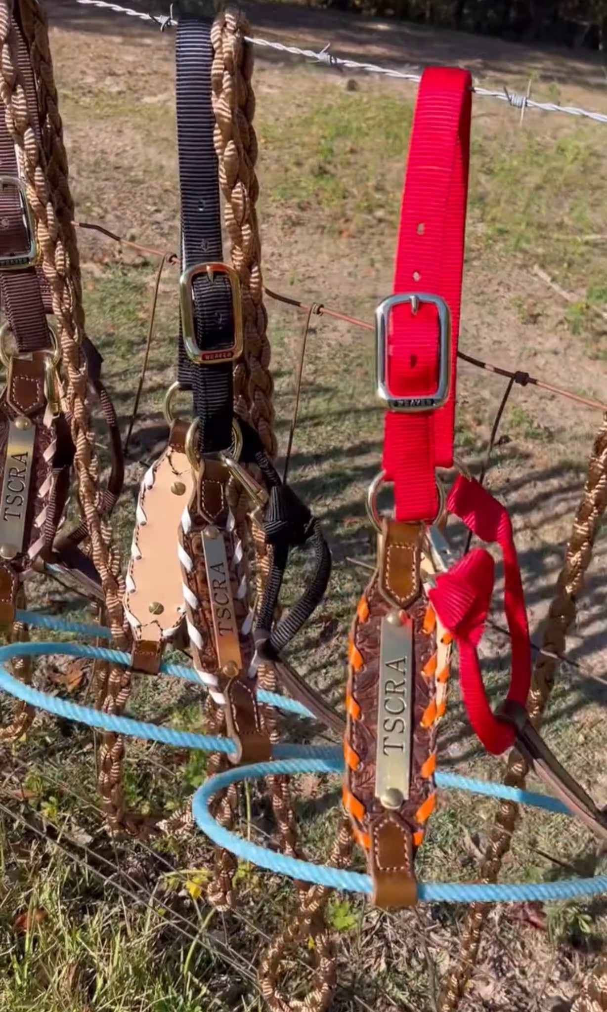 Add a Nameplate to my Halter