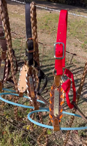 Add a Nameplate to my Halter