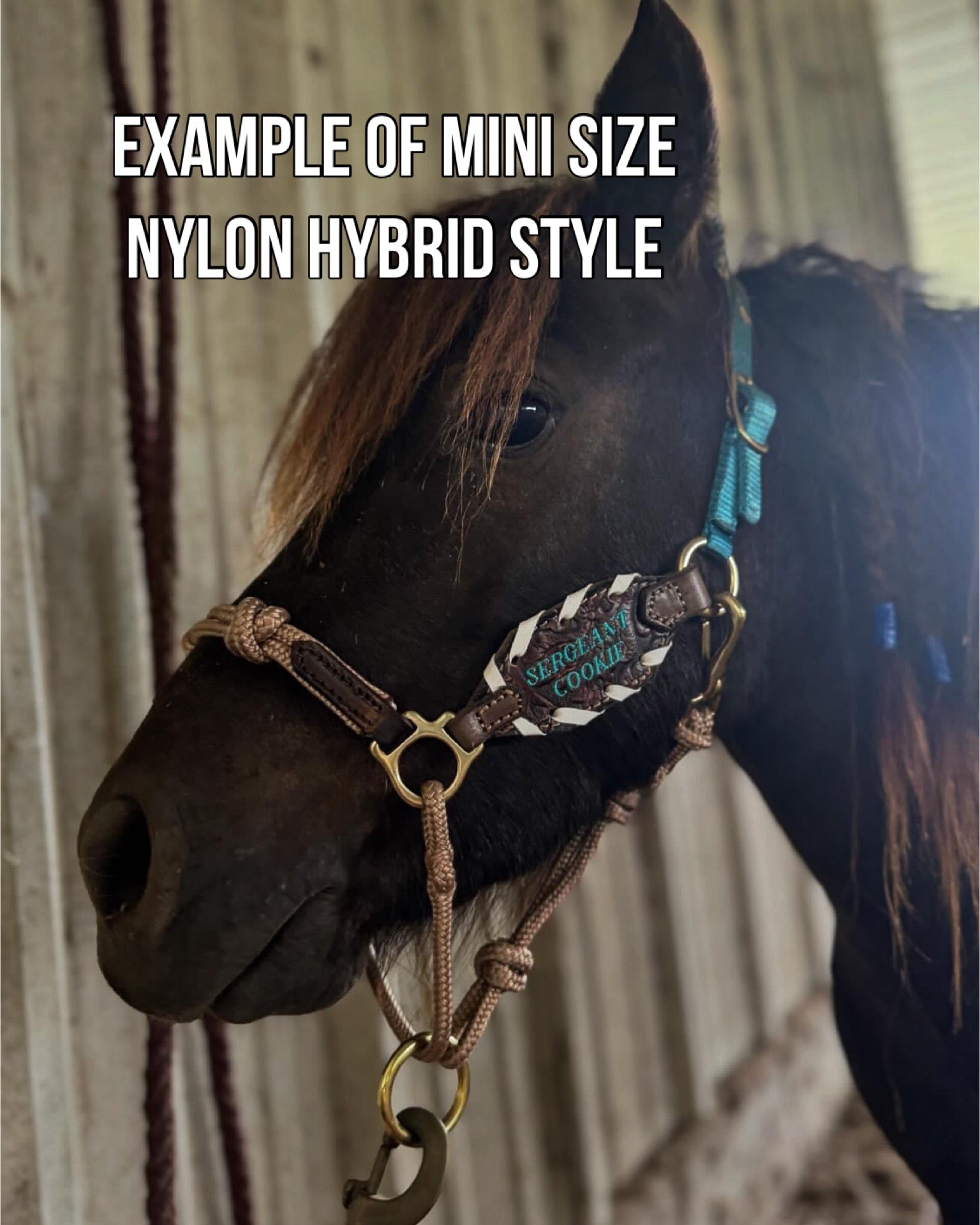 Finish your way Halter #15 (Small Horse/Pony Size)