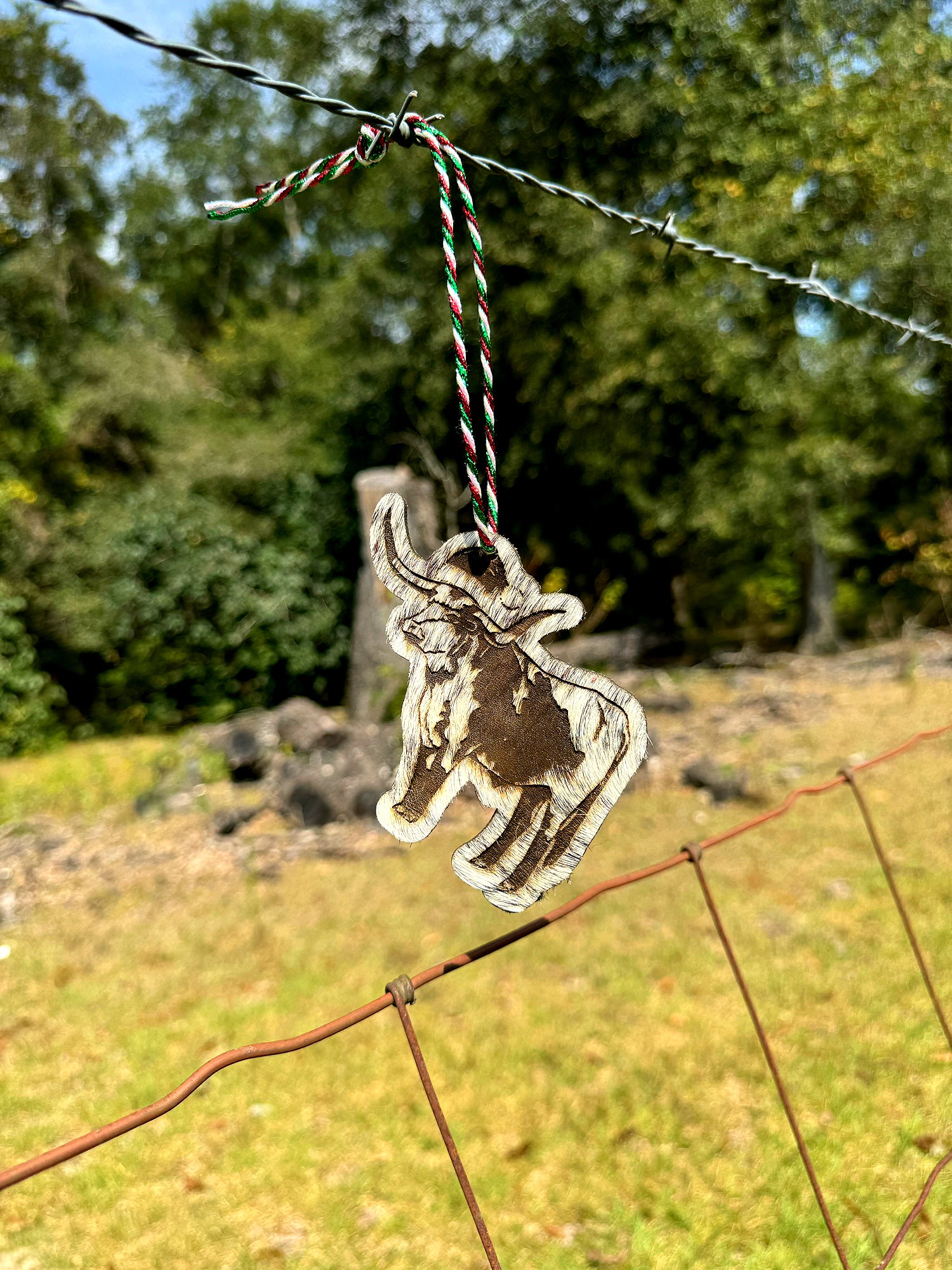 Christmas Ornaments