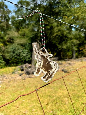 Christmas Ornaments